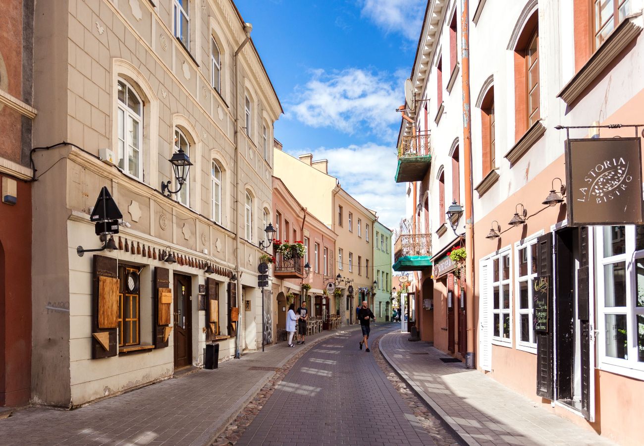 Appartamento a Vilnius - Castle View Apartment