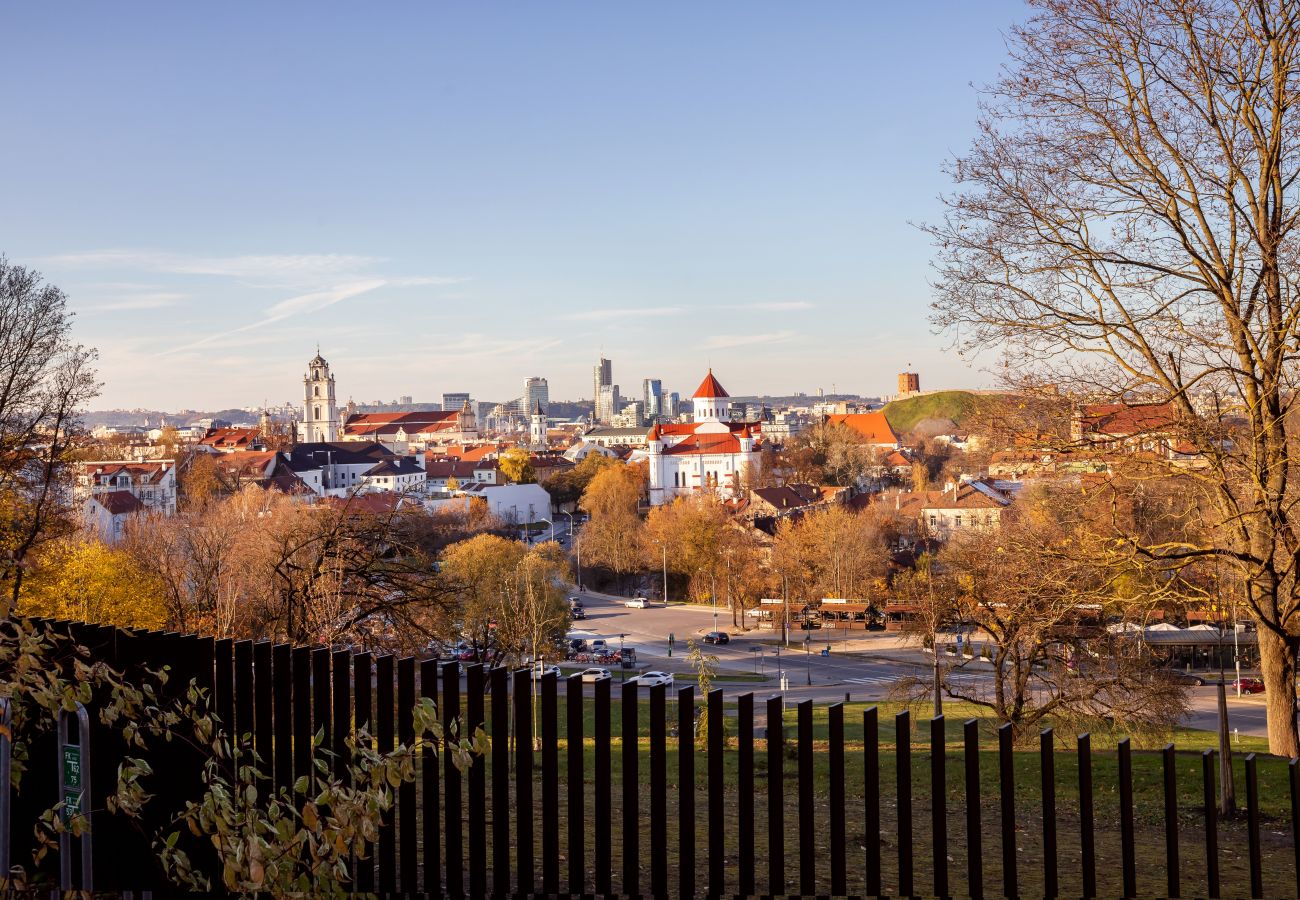 Appartamento a Vilnius - Lux Apartment with a terrace in Vilnius Old Town