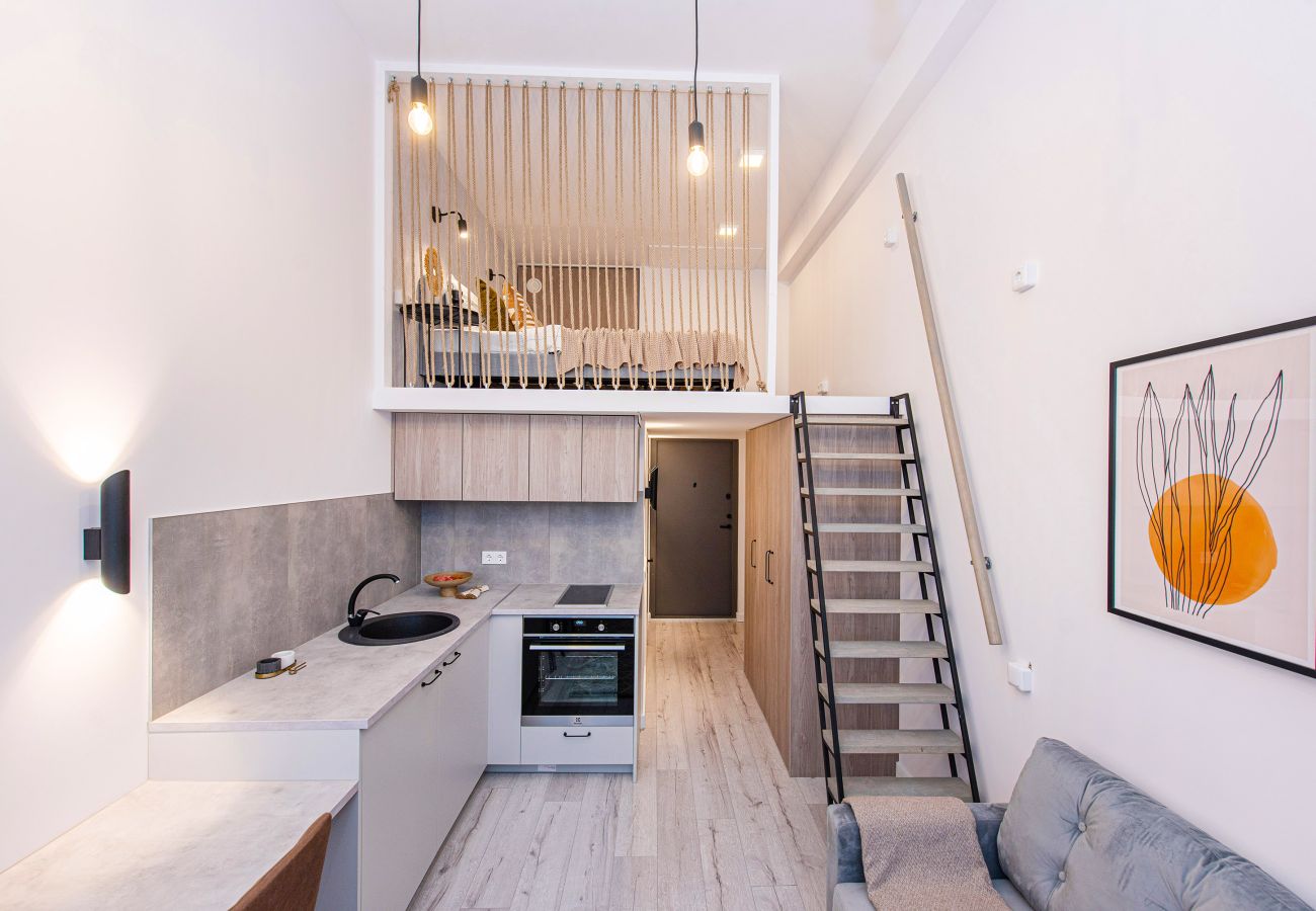 Studio a Vilnius - Sigma Skyline Loft  15