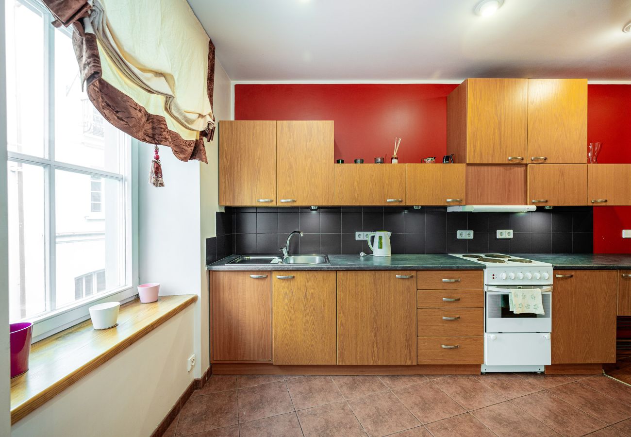 Appartamento a Vilnius - Classic Apartments In The Prestigious Stikliu Str