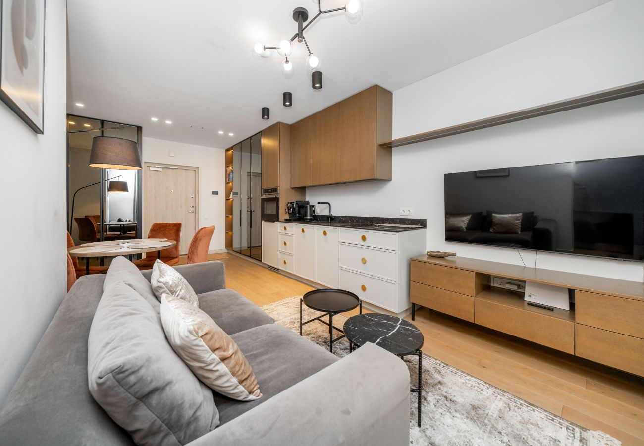 Appartamento a Vilnius - 1 Bedroom Apartment next to Gediminas Avenue