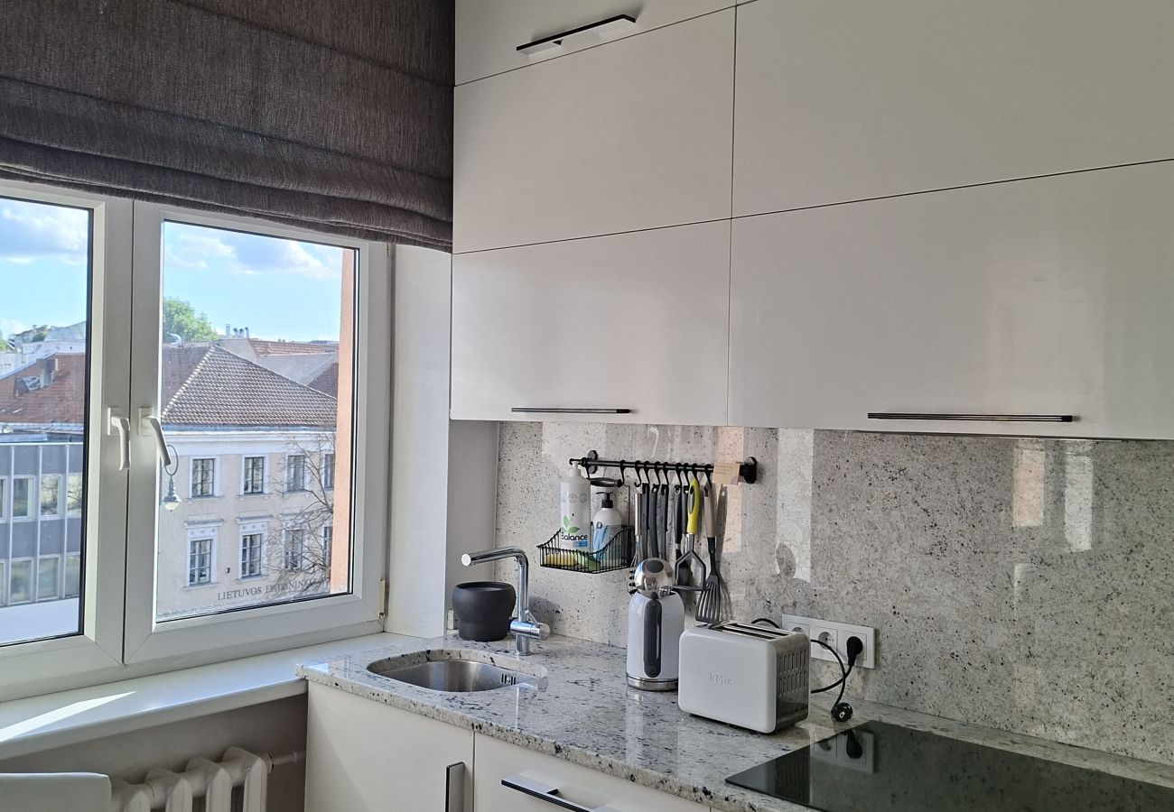 Appartamento a Vilnius - Homey Old Town 1 Bedroom Apartment