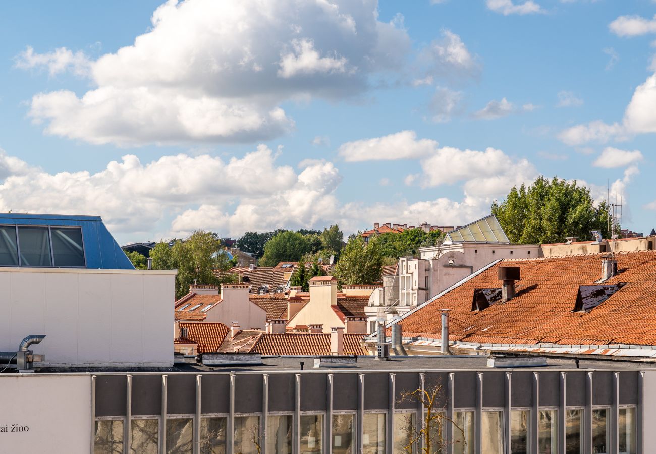 Appartamento a Vilnius - Homey Old Town 1 Bedroom Apartment