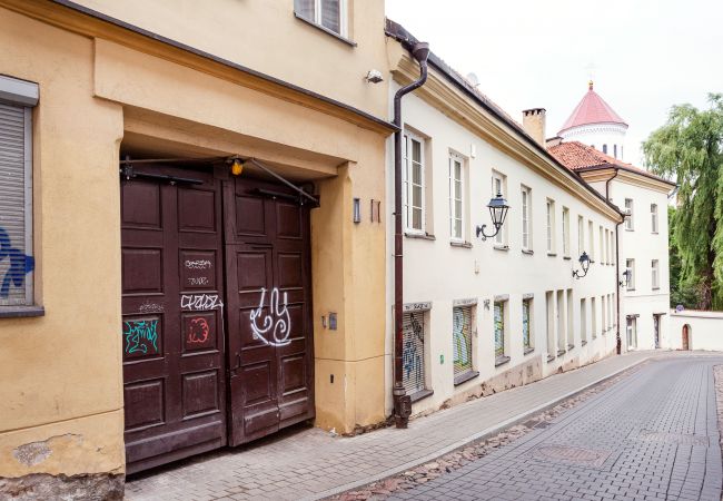 Apartamento en Vilnius - Castle View Apartment