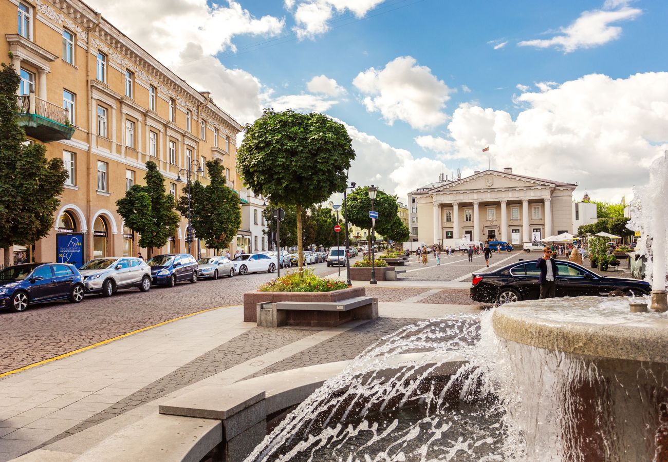 Apartamento en Vilnius - Castle View Apartment