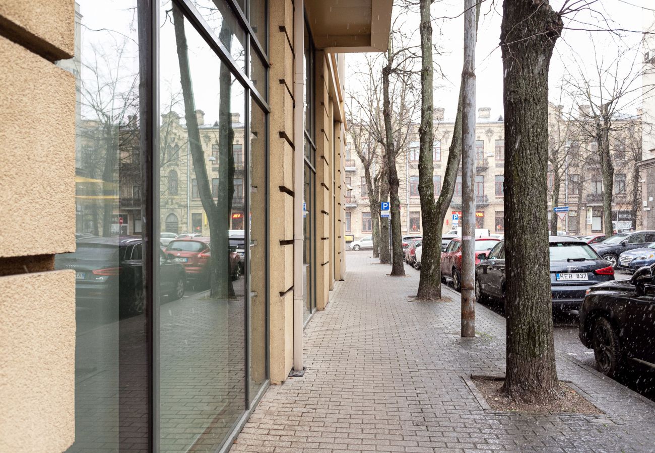 Apartamento en Vilnius - Business Apartment in Jaksto Street
