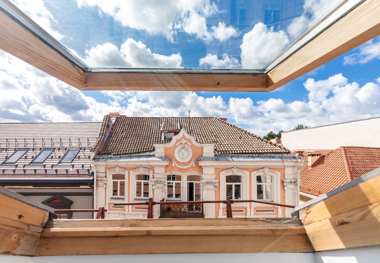 Apartamento en Vilnius - Gediminas Towen View Apartment in Vilnius Old Town