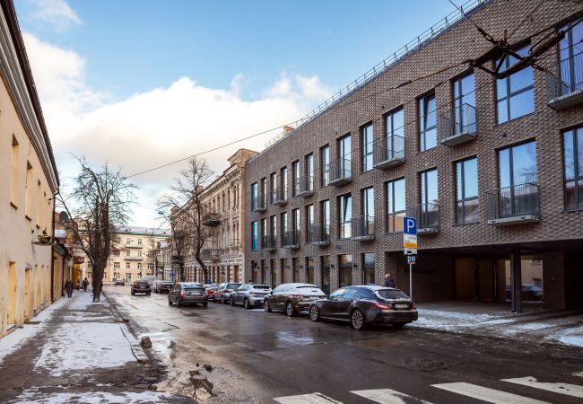 Apartamento en Vilnius - Renaissance Key Apartment 21