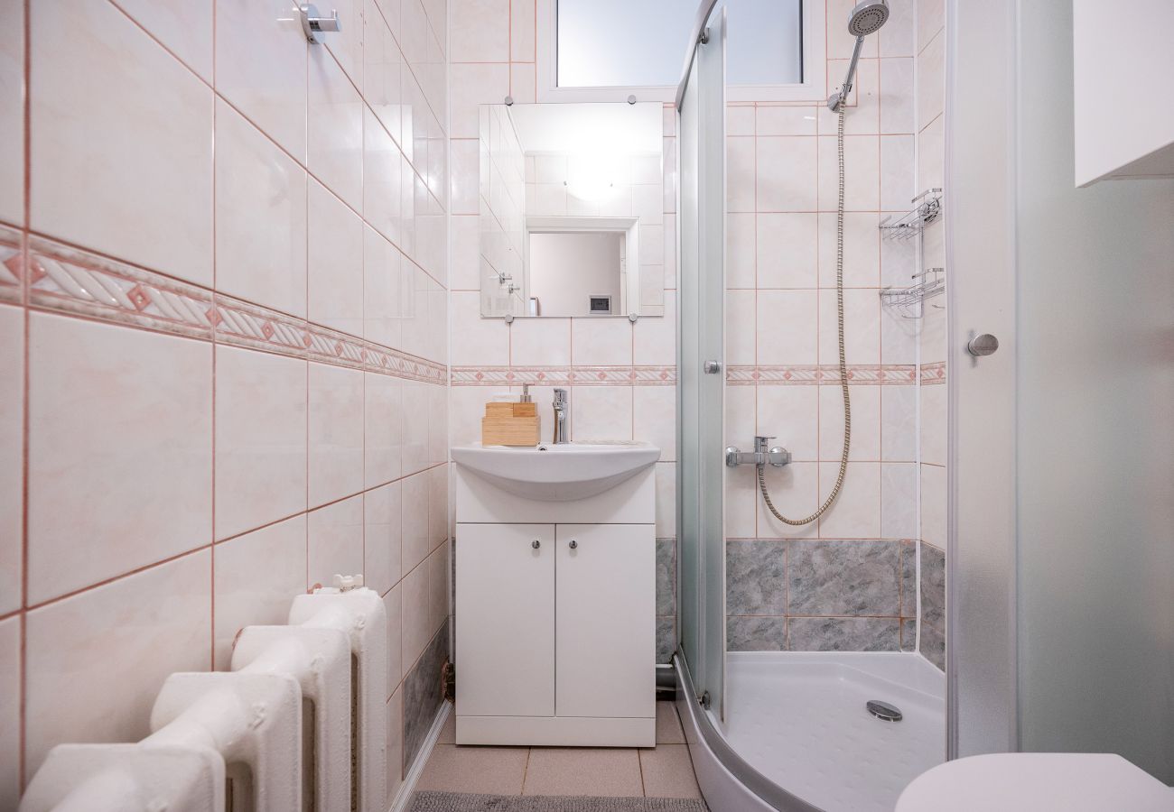 Apartamento en Vilnius - Central and Comfy 2 Bedroom Apartment 