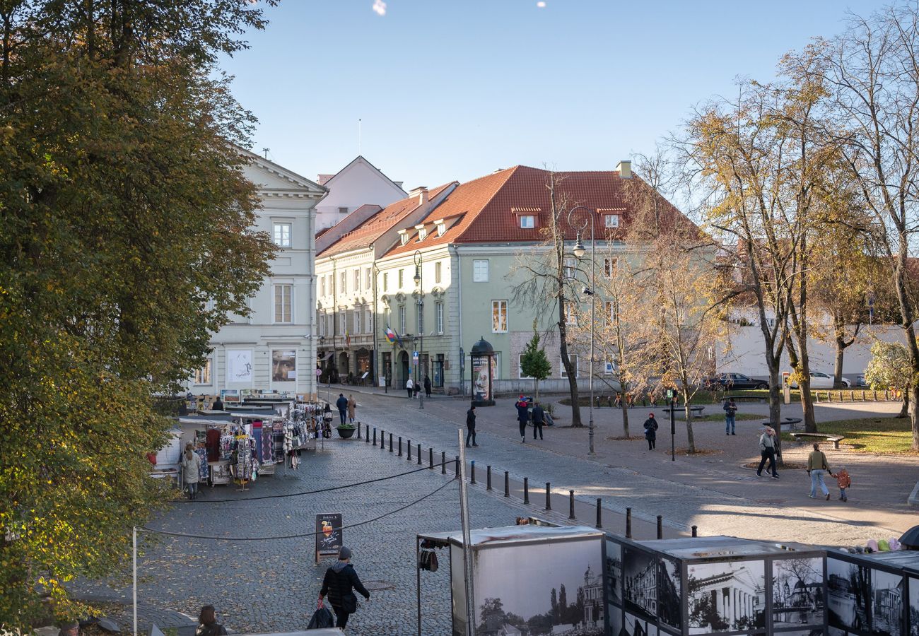 Apartamento en Vilnius - Luxury and Unique Pilies Street 2 Bedroom Aprt