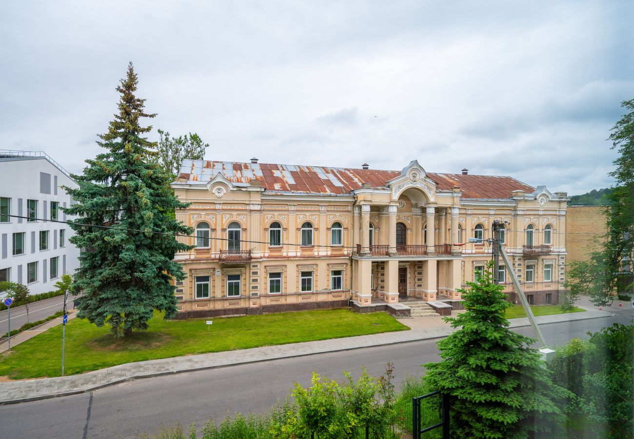 Apartamento en Vilnius - Bohemian Apartment in Paupys