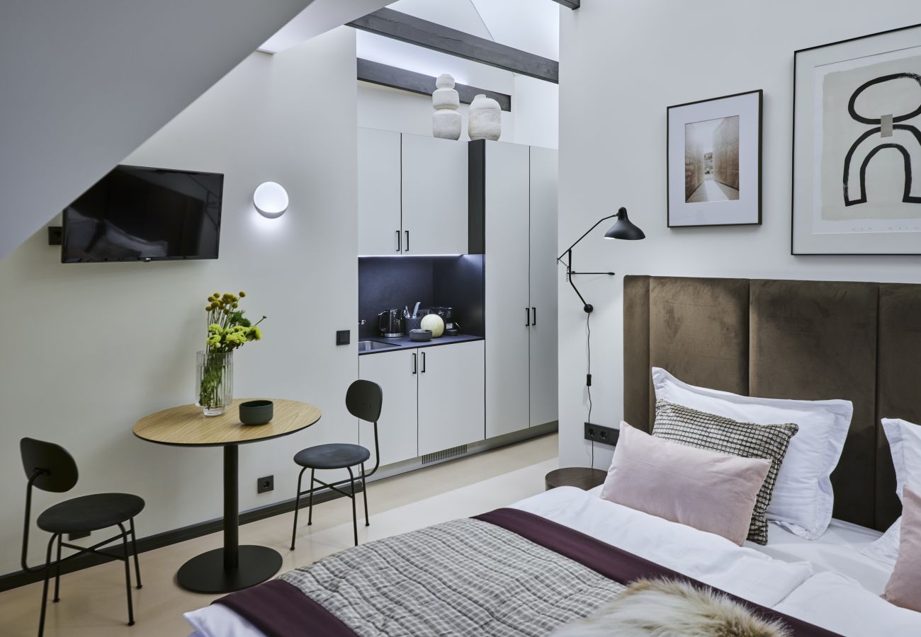 Apartamento en Vilnius - Deluxe Studio Attic in Old Town
