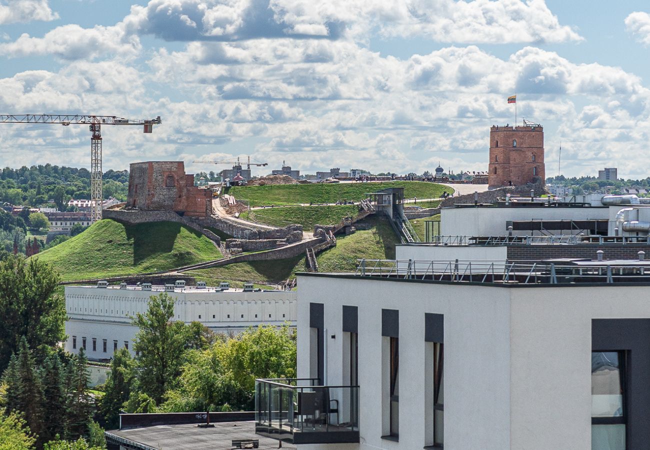 Apartamento en Vilnius - Gediminas Castle View Apartment with Parking