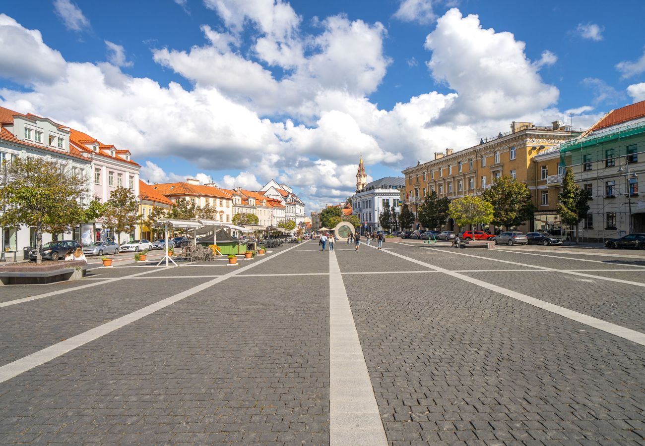 Apartamento en Vilnius - Homey Old Town 1 Bedroom Apartment
