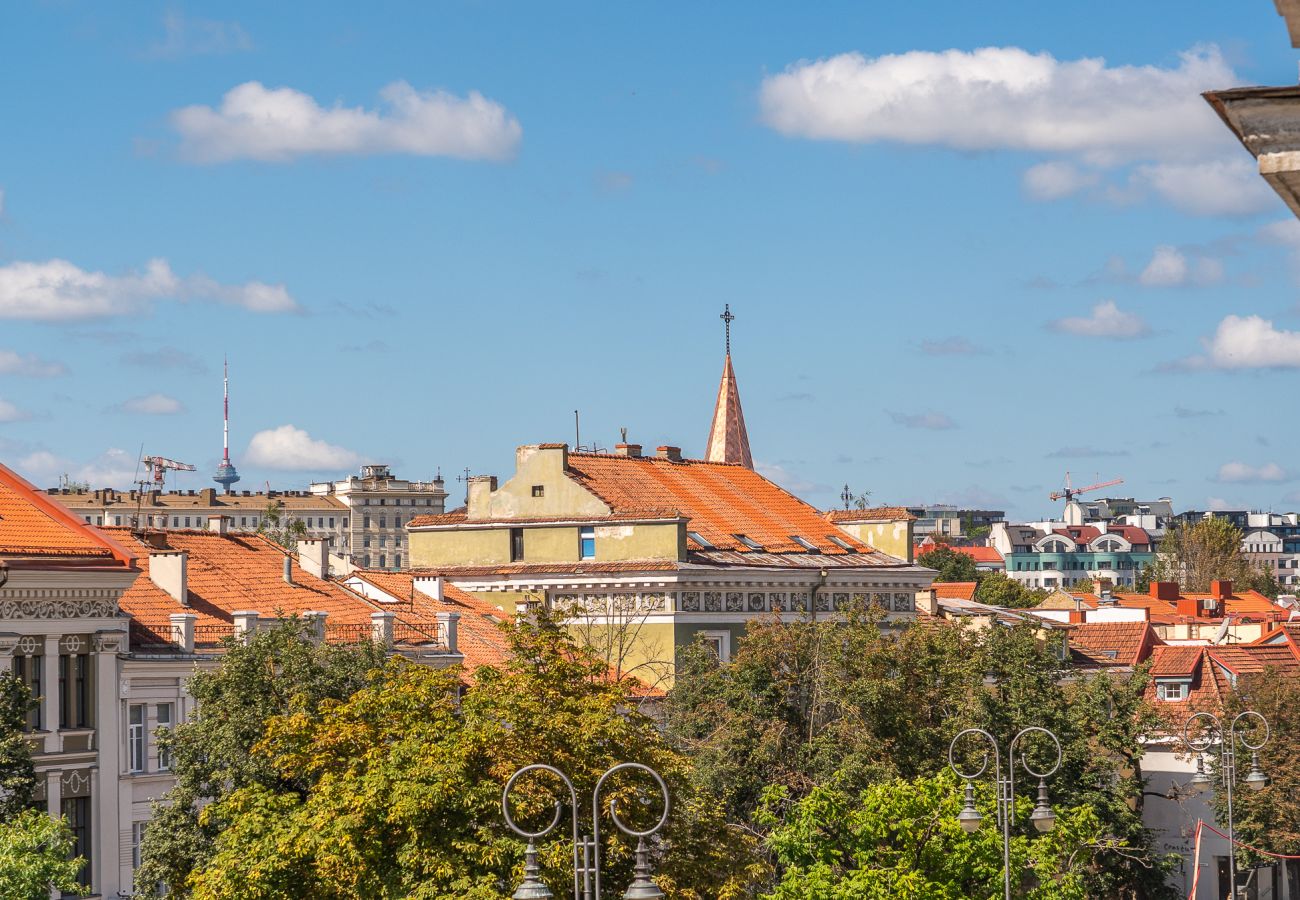 Apartamento en Vilnius - Homey Old Town 1 Bedroom Apartment