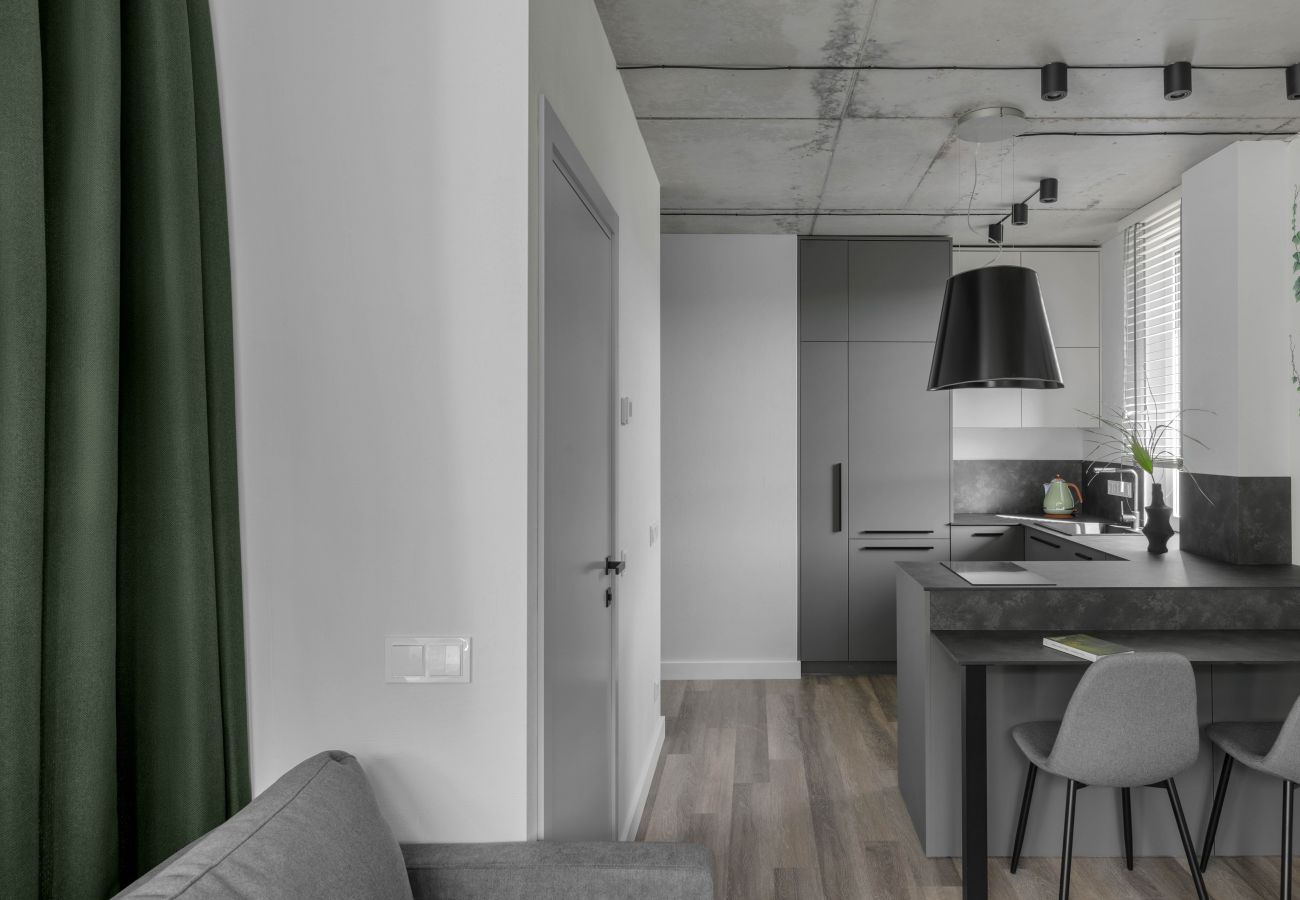 Apartamento em Vilnius - Urban Jungle Apartment 406