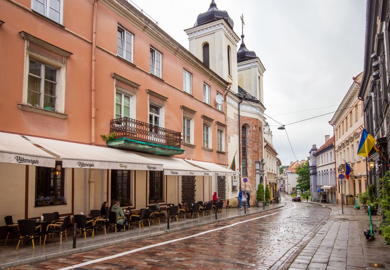 Apartamento em Vilnius - Cozy place to stay in 2 bdr ap at Vilnius old Town