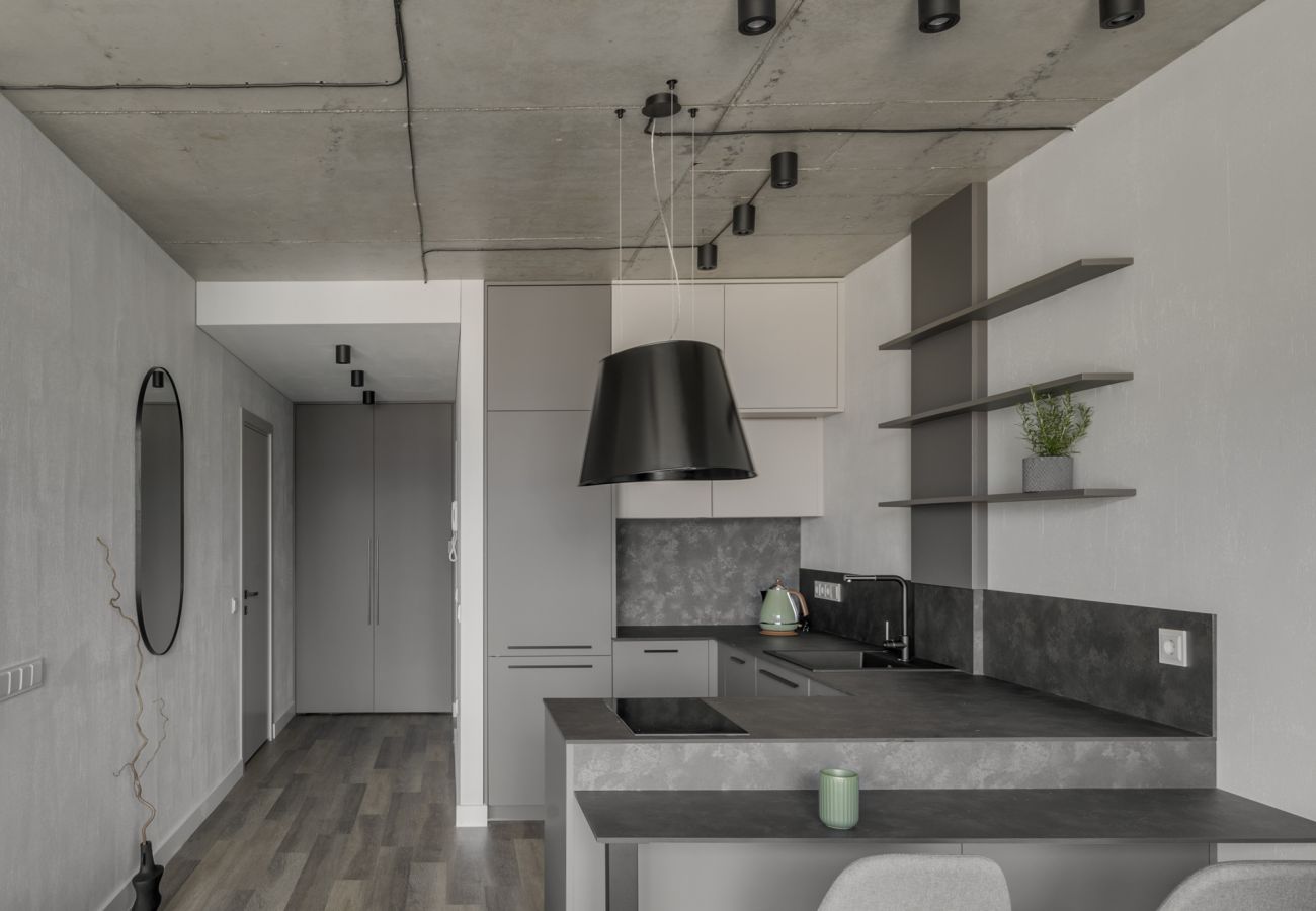 Apartamento em Vilnius - Urban Jungle Apartment 405 