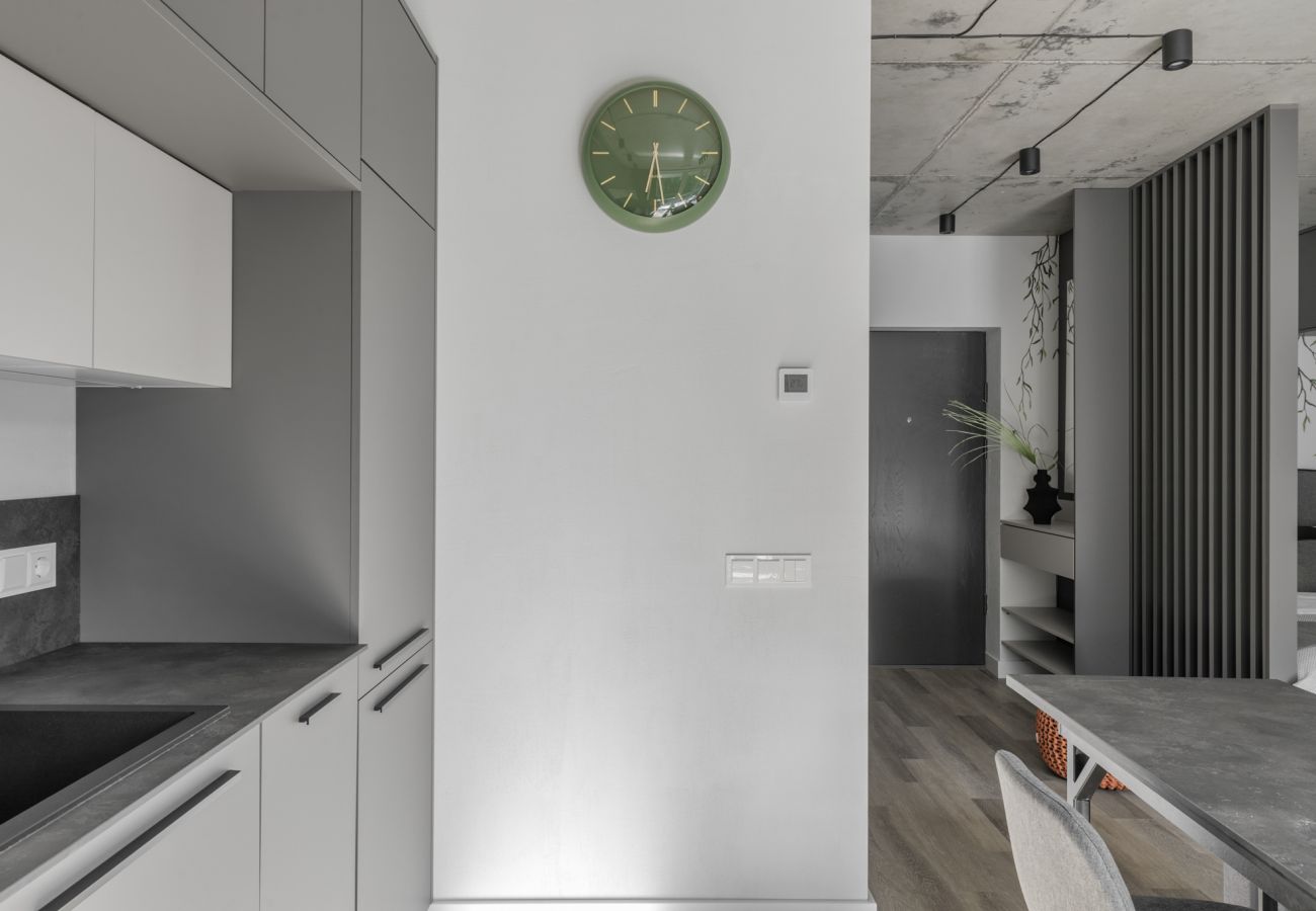 Apartamento em Vilnius - Urban Jungle Apartment 408