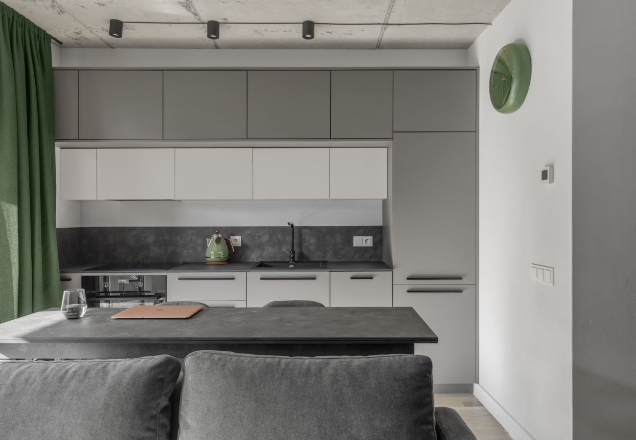 Apartamento em Vilnius - Urban Jungle Apartment 408