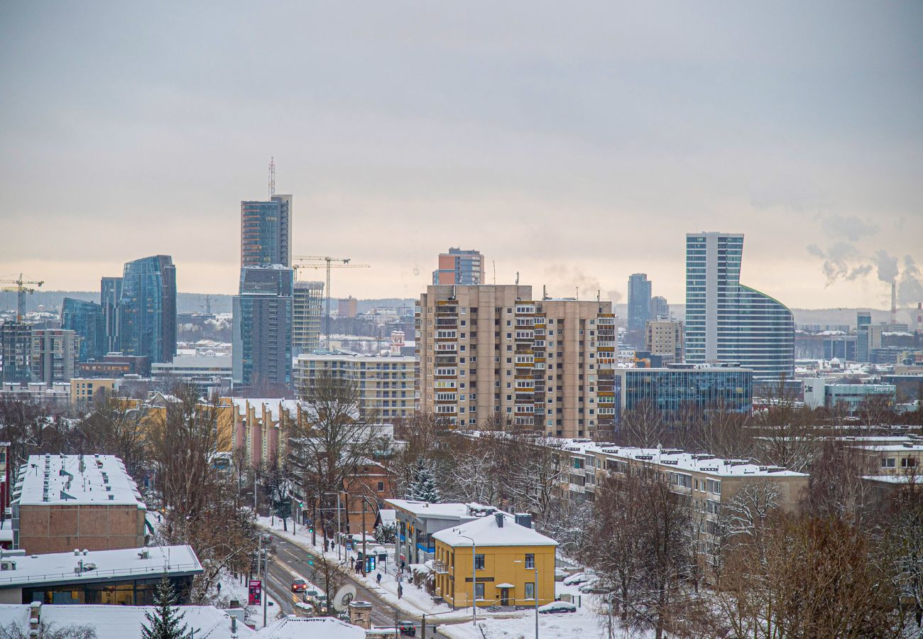 Estúdio em Vilnius - Sigma Skyline Loft  15