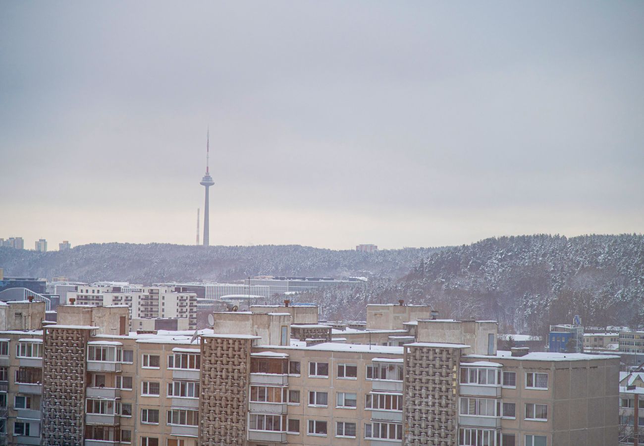 Estúdio em Vilnius - Sigma Skyline Loft  15