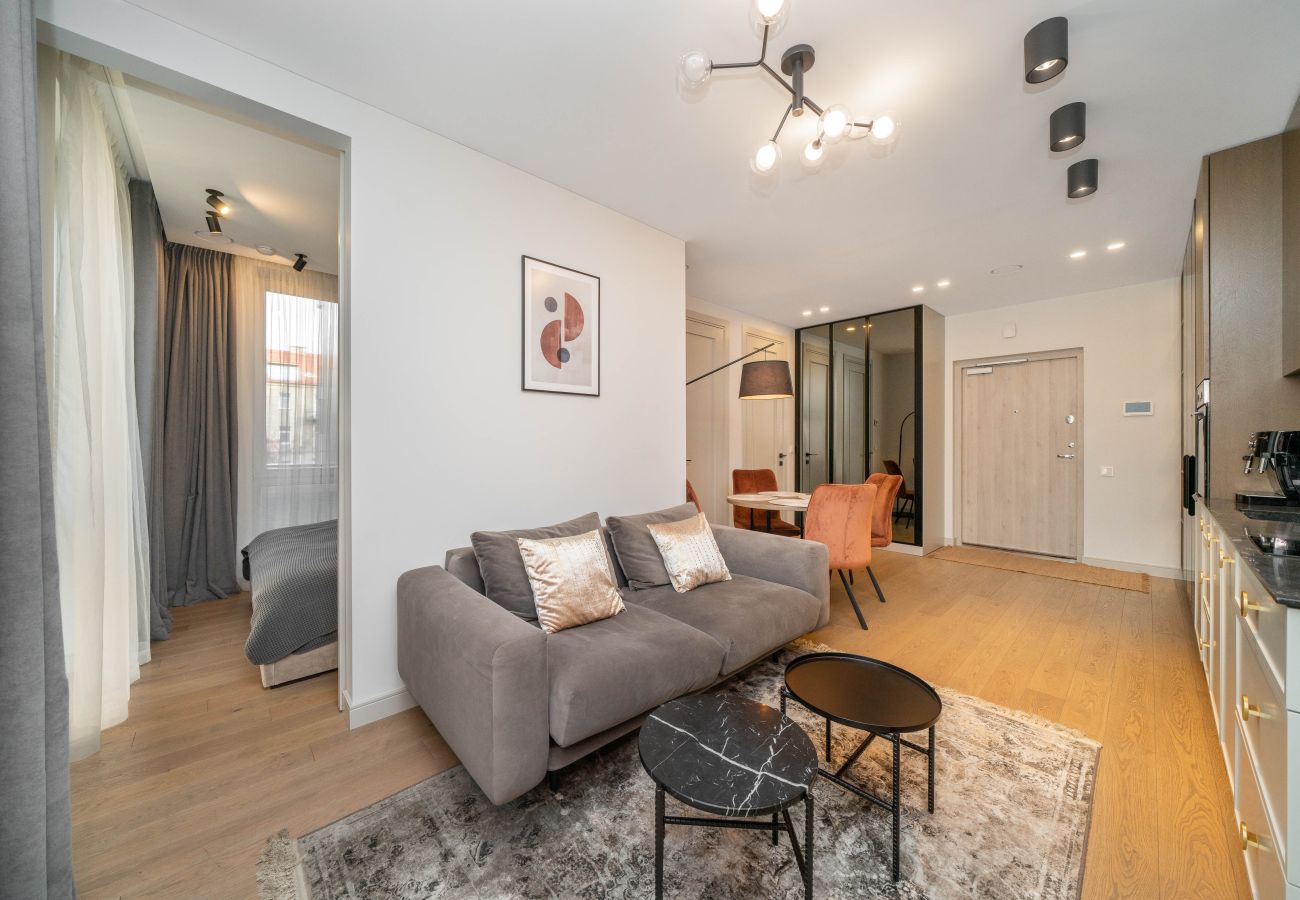 Apartamento em Vilnius - 1 Bedroom Apartment next to Gediminas Avenue