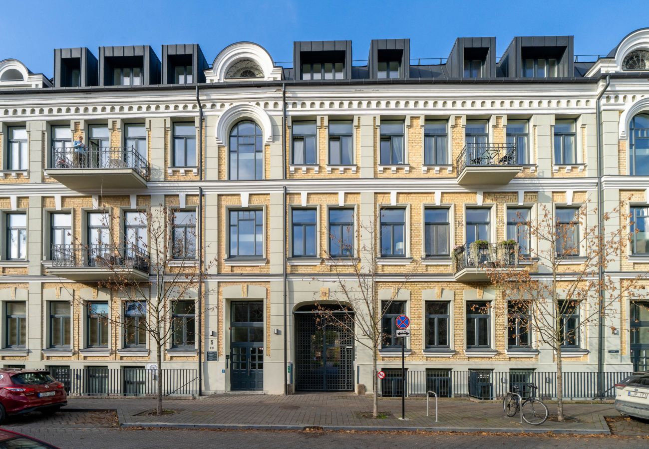 Apartamento em Vilnius - 1 Bedroom Apartment next to Gediminas Avenue