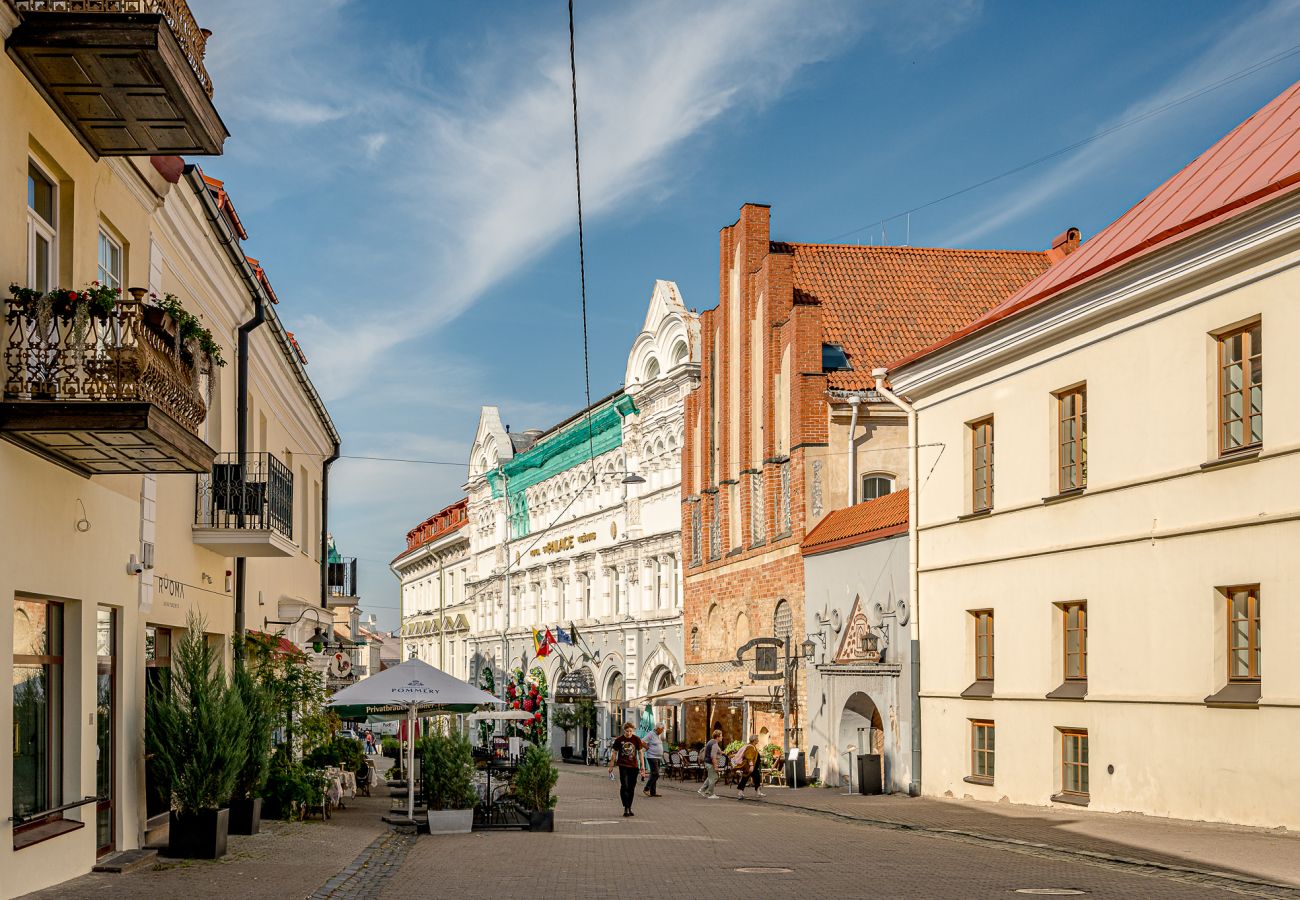 Apartamento em Vilnius - Luxury Apartment with Balcony in Old Town