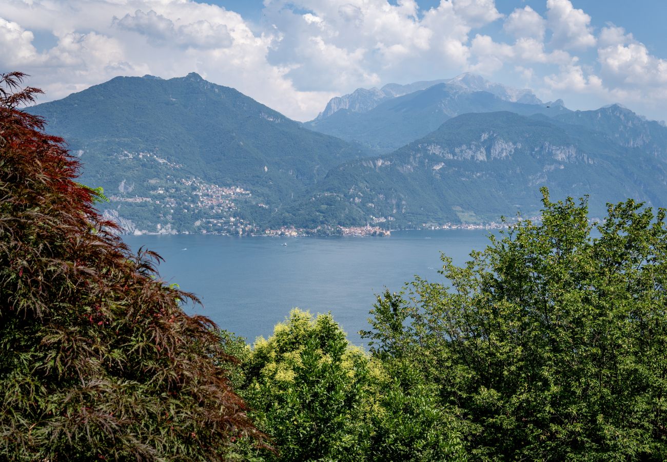 Apartamento em Menaggio - Villa Susanna with Pool & Lake Como View