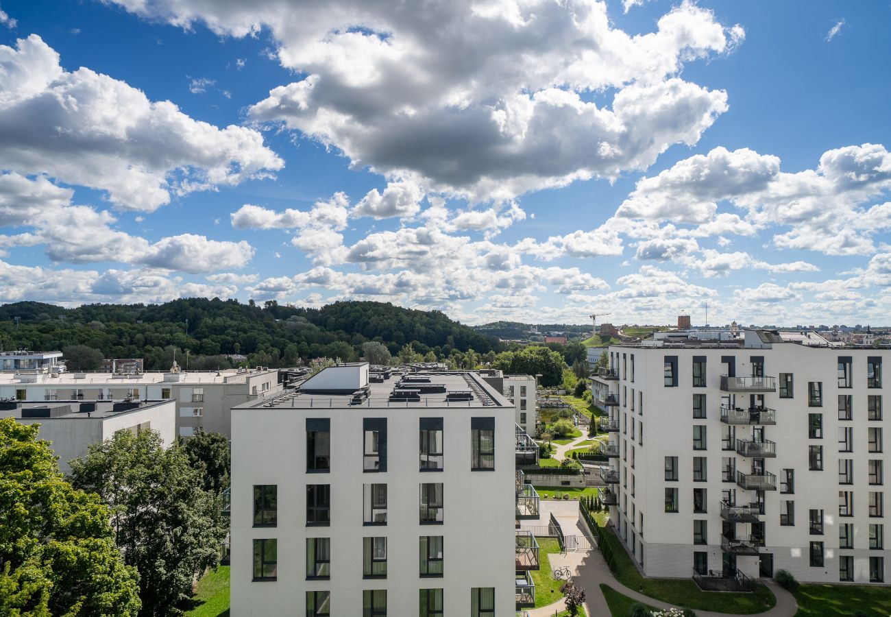 Apartamento em Vilnius - Gediminas Castle View Apartment with Parking