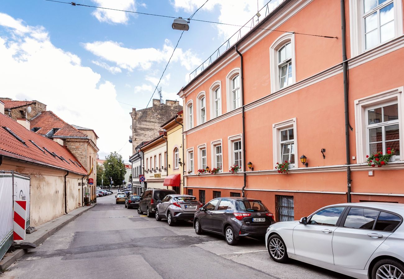 Lejlighed i Vilnius - Vingriu Street Apartment