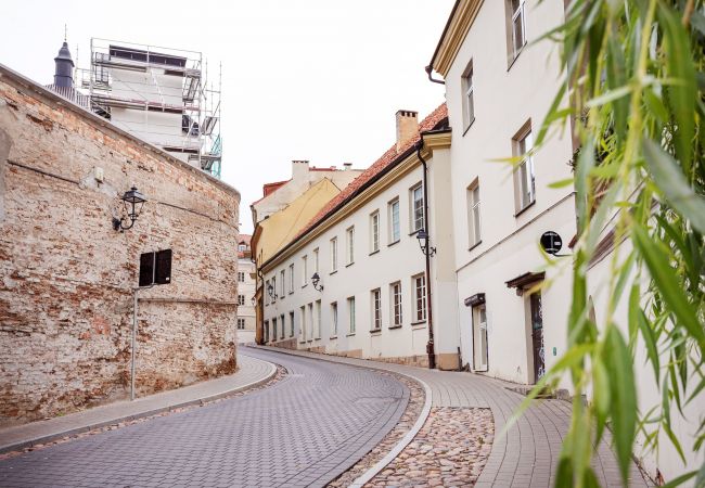 Lejlighed i Vilnius - Castle View Apartment
