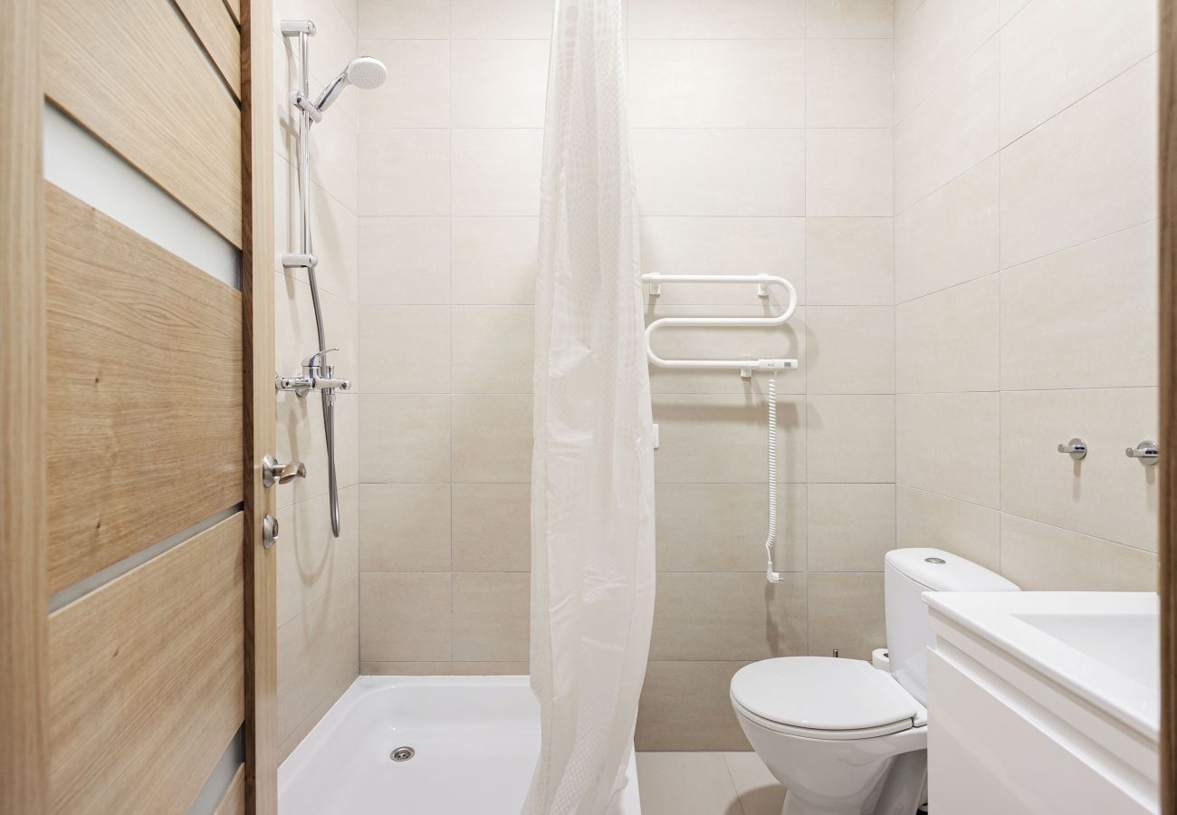 Lejlighed i Vilnius - Cosy 1 Bedroom 2 Bathroom Yard Apartment