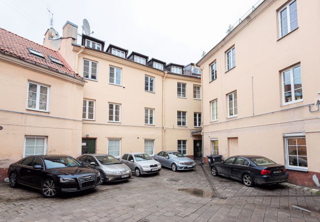 Lejlighed i Vilnius - Saint Ignoto's Bright 1 Bedroom Apartment