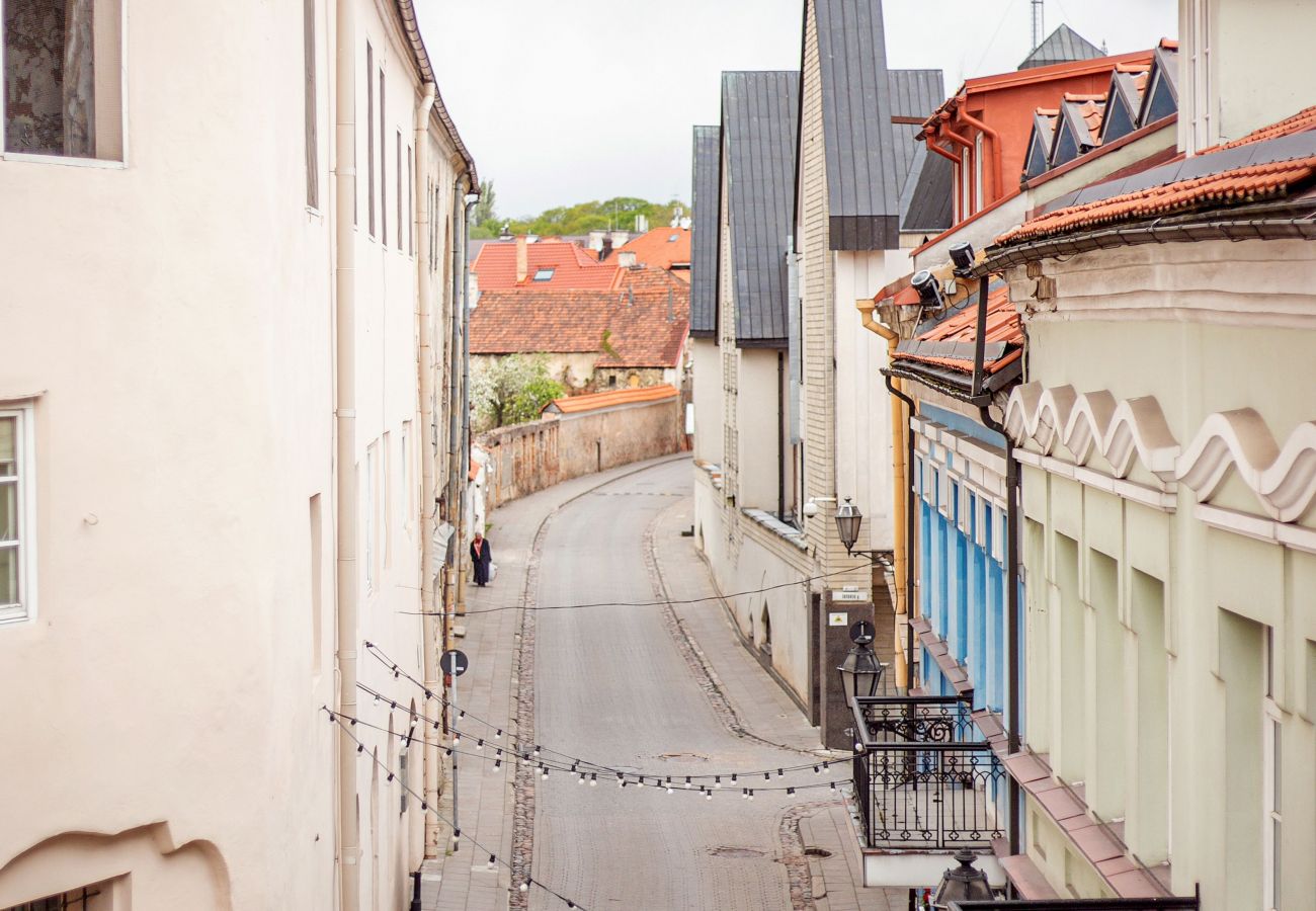 Lejlighed i Vilnius - Cosy and bright Saint Ignoto's Apartment