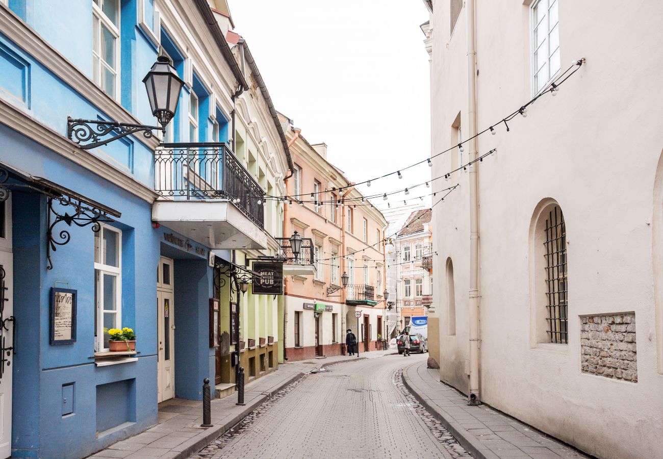 Lejlighed i Vilnius - Cosy and bright Saint Ignoto's Apartment