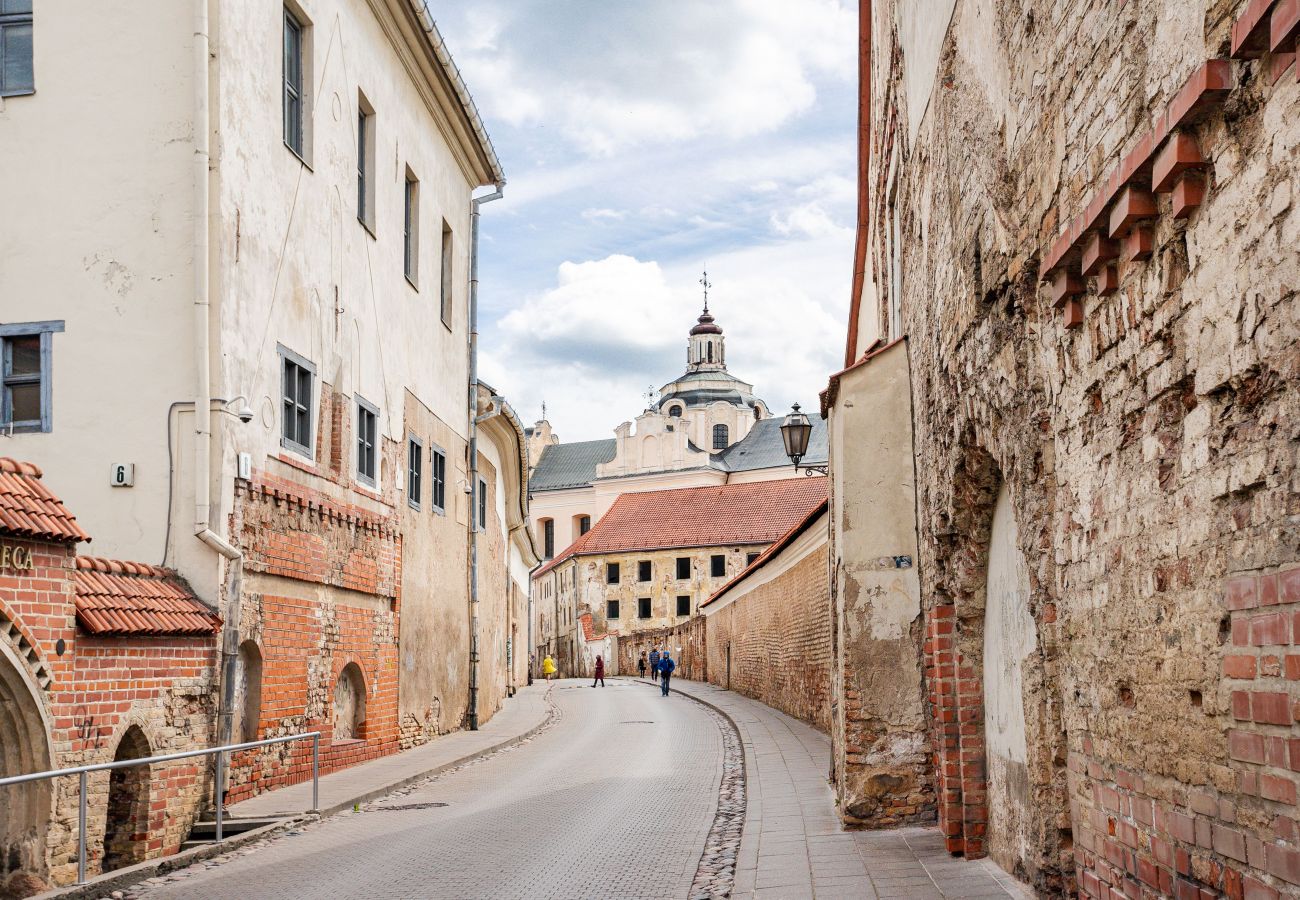 Lejlighed i Vilnius - Cosy and bright Saint Ignoto's Apartment