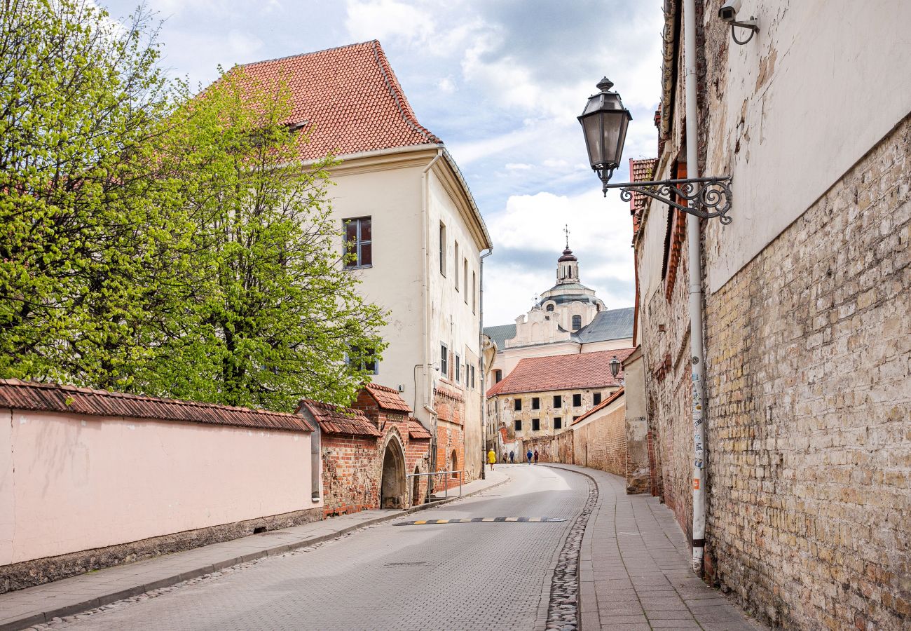 Lejlighed i Vilnius - Cosy and bright Saint Ignoto's Apartment