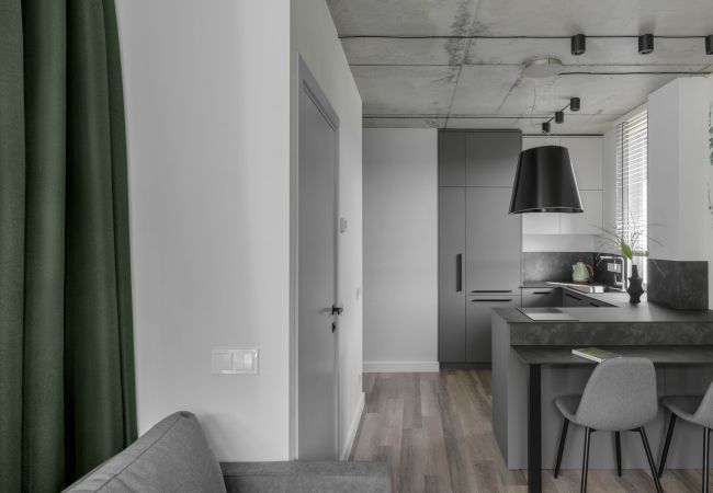 Lejlighed i Vilnius - Urban Jungle Apartment 406
