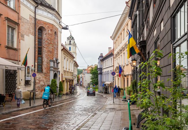 Lejlighed i Vilnius - Cozy place to stay in 2 bdr ap at Vilnius old Town