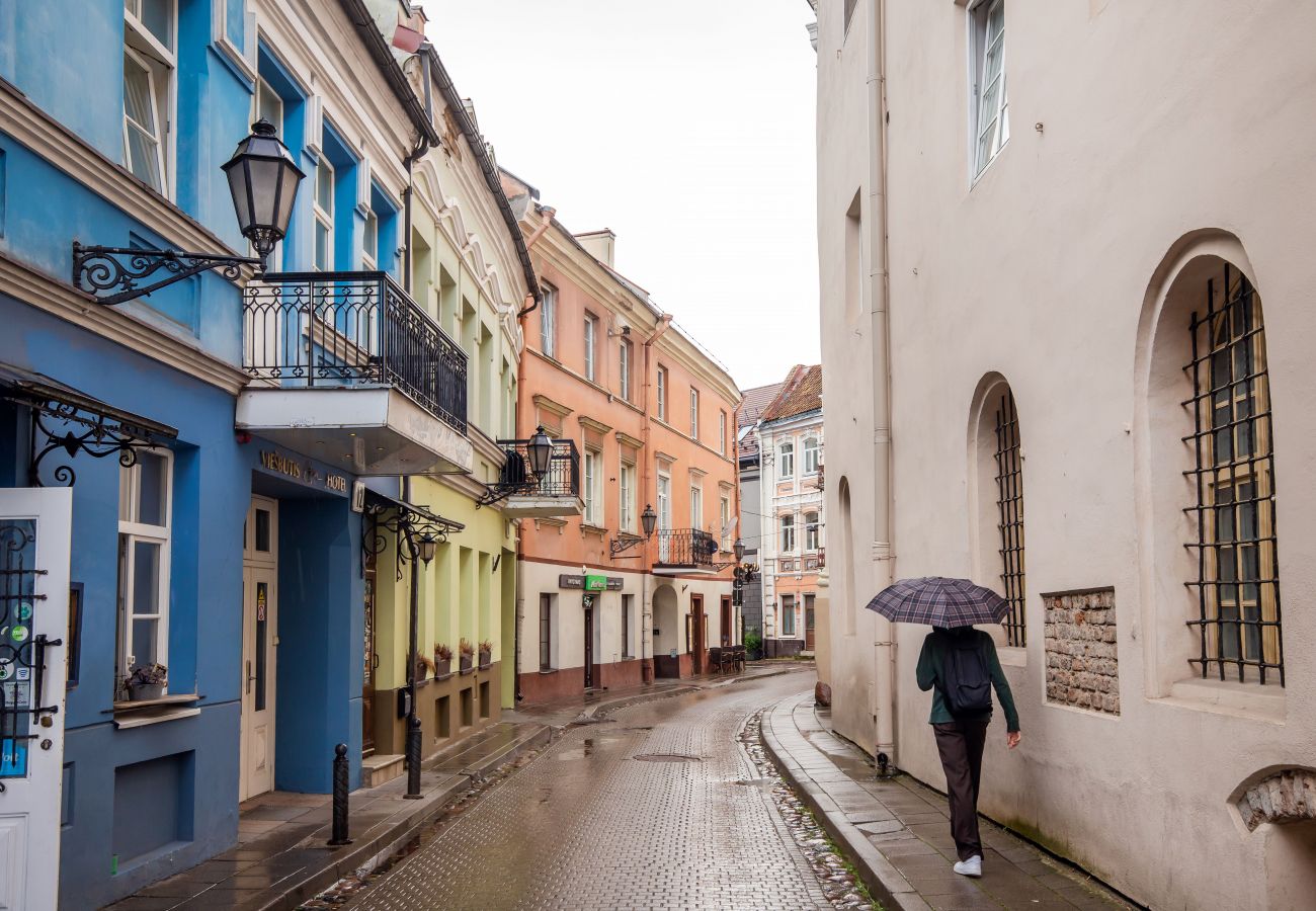 Lejlighed i Vilnius - Gediminas Towen View Apartment in Vilnius Old Town