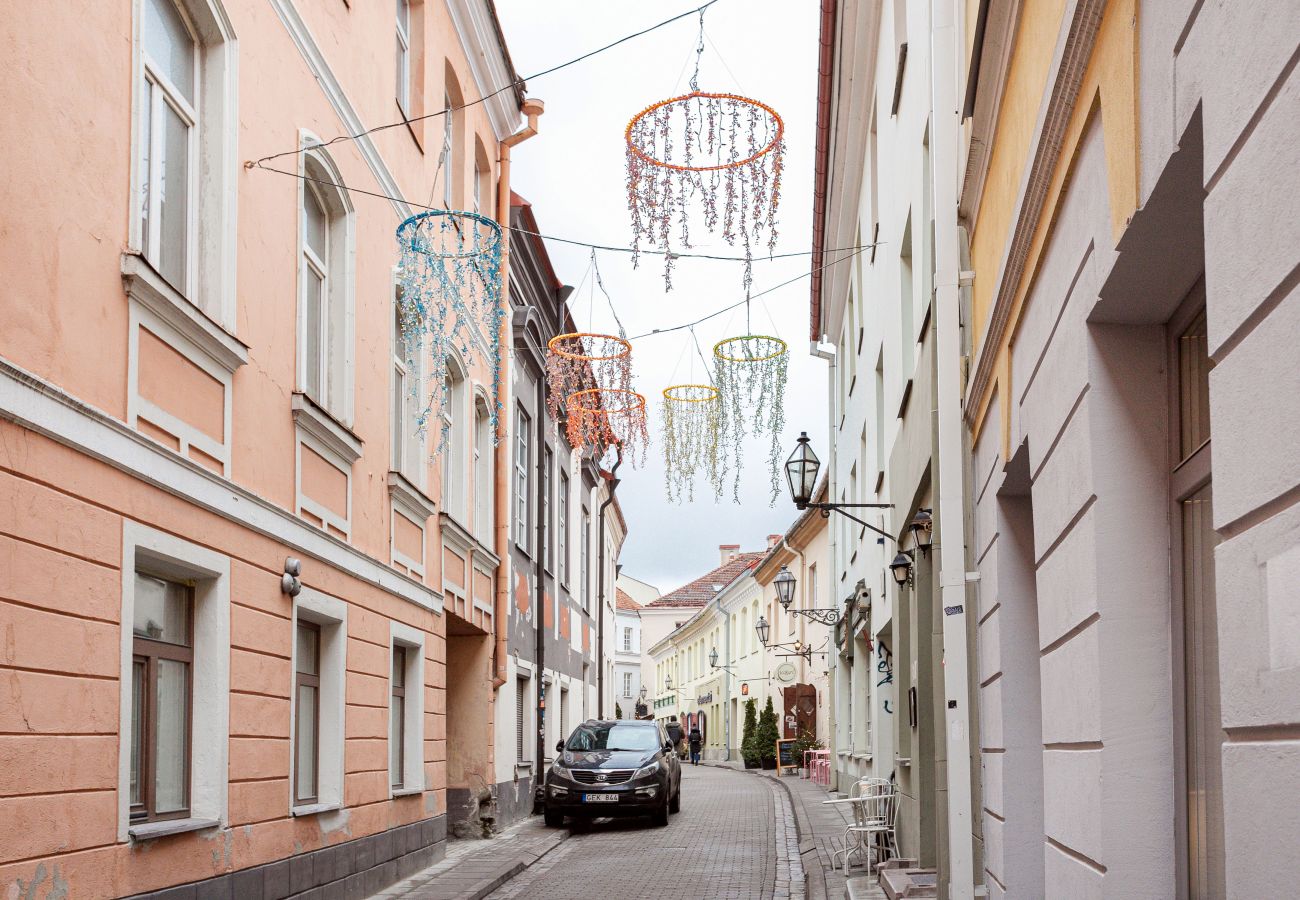 Lejlighed i Vilnius - Gediminas Towen View Apartment in Vilnius Old Town