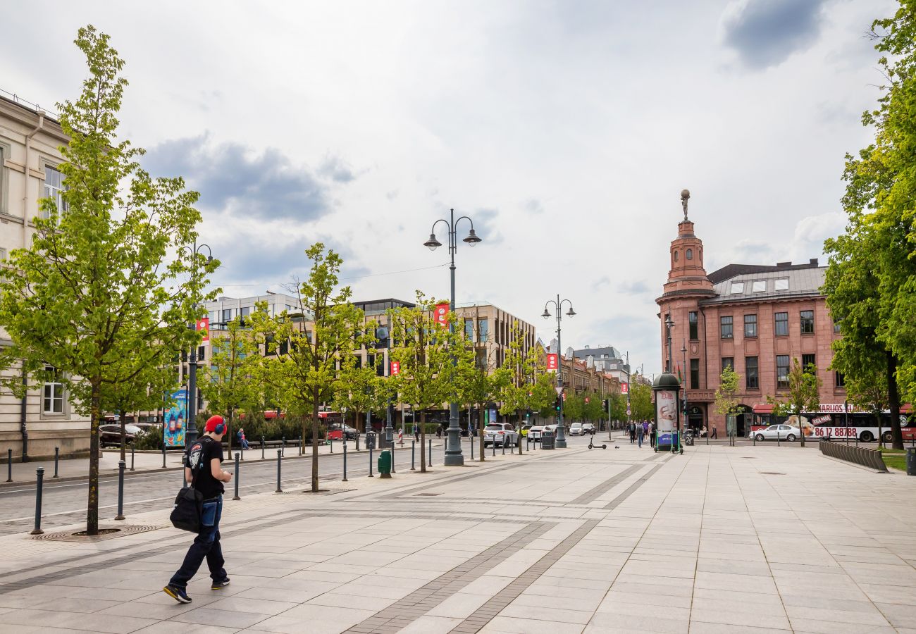 Lejlighed i Vilnius - Newly Refurbished Lukiskiu Square Apartment