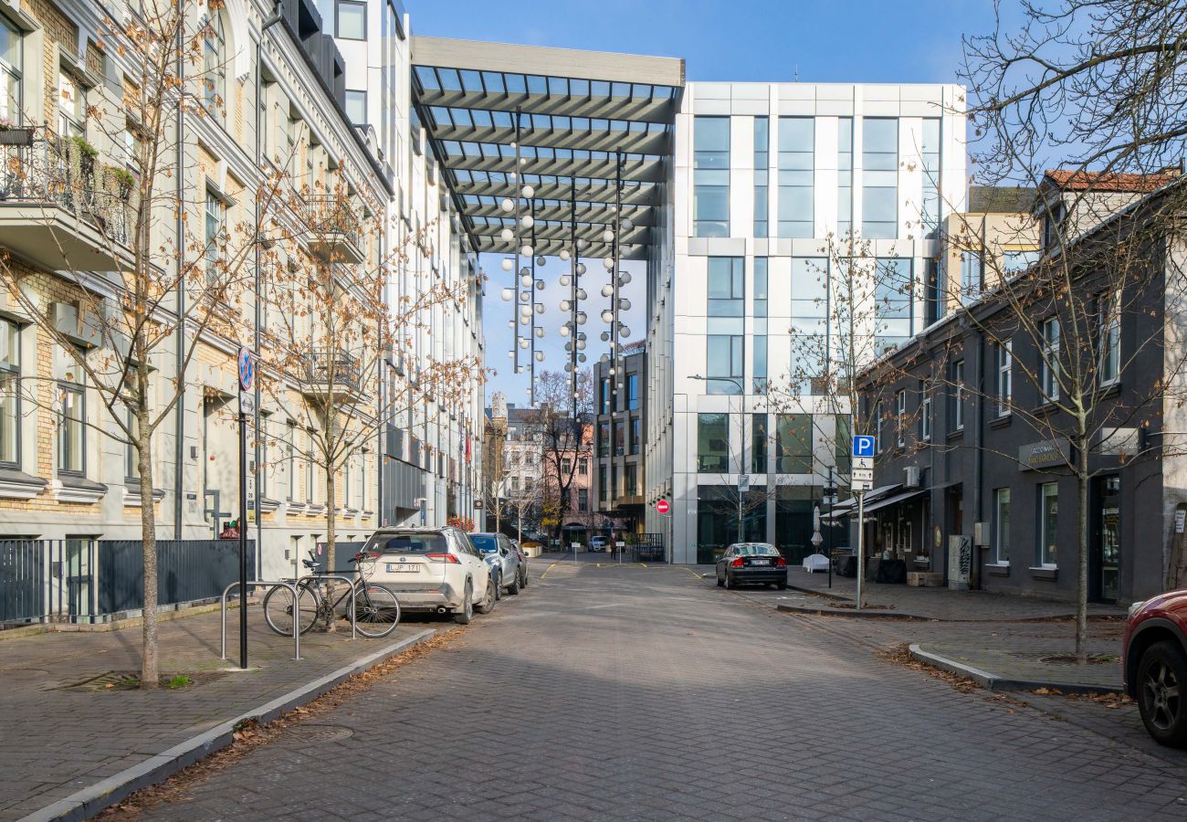 Lejlighed i Vilnius - 1 Bedroom Apartment next to Gediminas Avenue