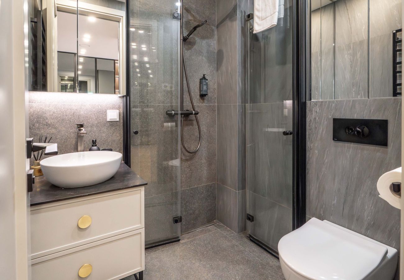 Lejlighed i Vilnius - 1 Bedroom Apartment next to Gediminas Avenue