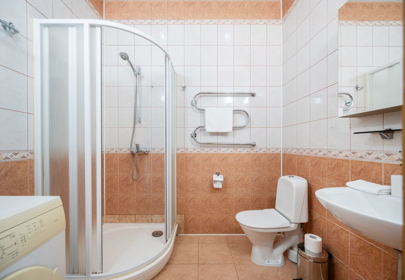 Appartement in Vilnius - Lovely 1 Bedroom Apartment