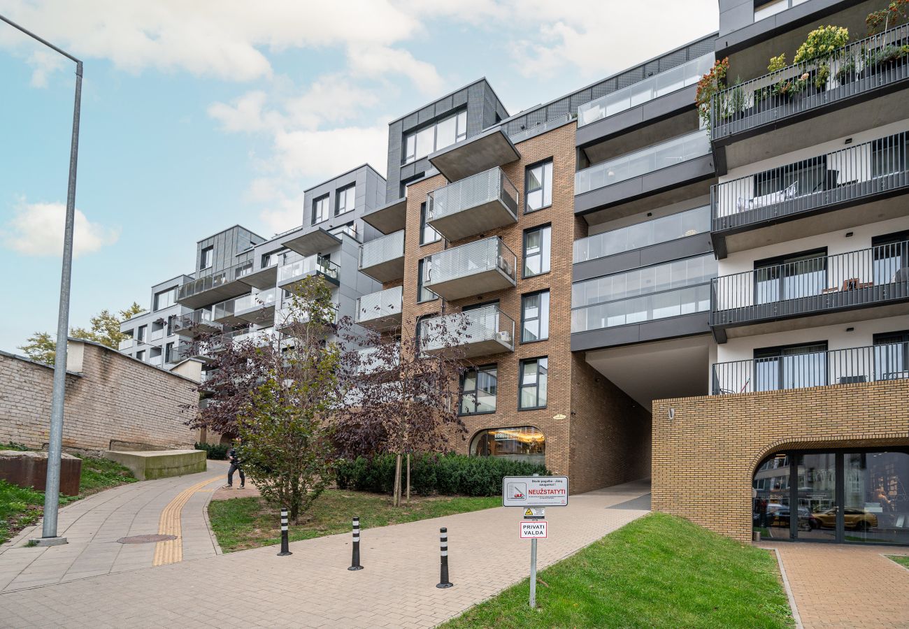 Appartement in Vilnius - Modern Oasis in Vilnius Cente