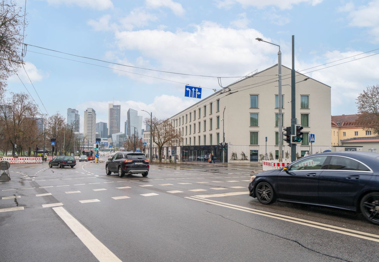 Appartement in Vilnius - Newly Refurbished Luxurious 2 Bedroom Apartment