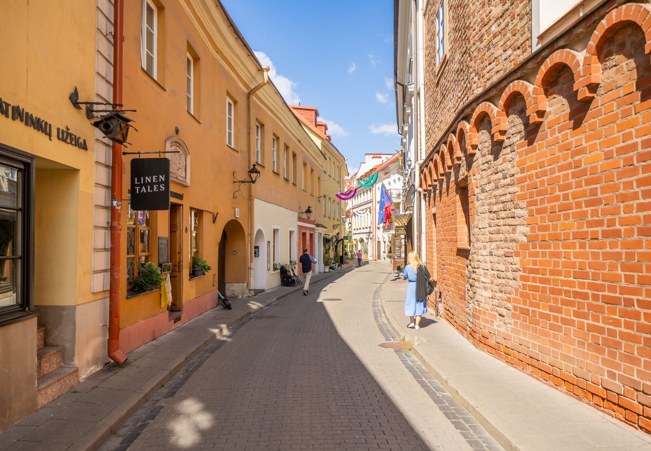 Appartement in Vilnius - Homey Old Town 1 Bedroom Apartment